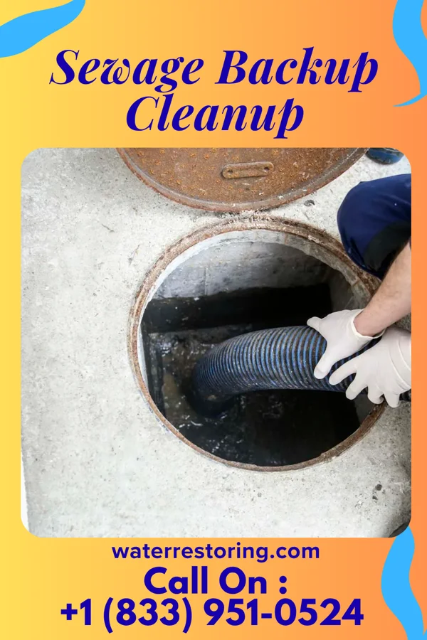 Sewage Backup Cleanup in Clear Lake, MN
